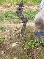 2Mai kl.jpg,1Mai kl.jpg,3Mai kl.jpg,4Mai kl.jpg,5Mai kl.jpg,Lusmann 01