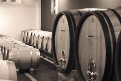 Weingarten-grau.jpg,glas.jpg,kork.jpg,weingarten.jpg,Weinfassln.jpg,index 04