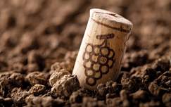 Weingarten-grau.jpg,glas.jpg,kork.jpg,weingarten.jpg,Weinfassln.jpg,index 04